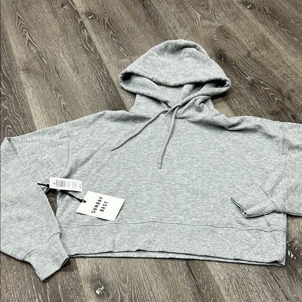 Sunday Best Brand (Aritzia) Gray Hoodie Sweater Sz 2XS